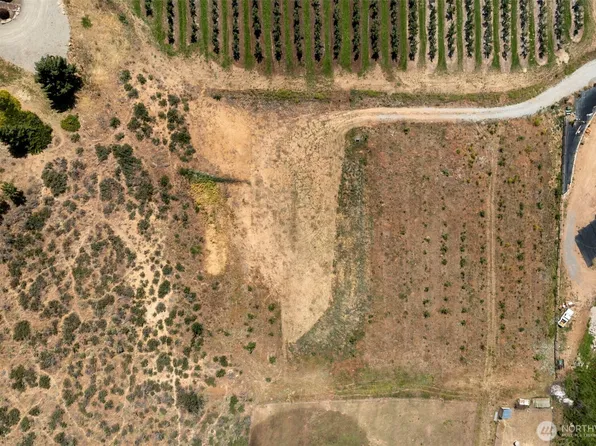 89 Little Buck Lane, Monitor, WA 98836