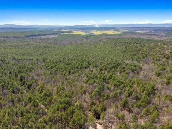 2 Plunketville Rd, Watson, OK 74963
