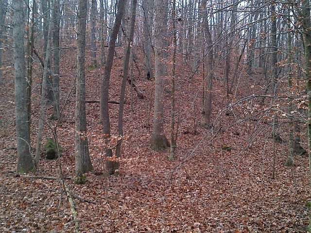 2nd image of 3917 Morgan Ford Rd