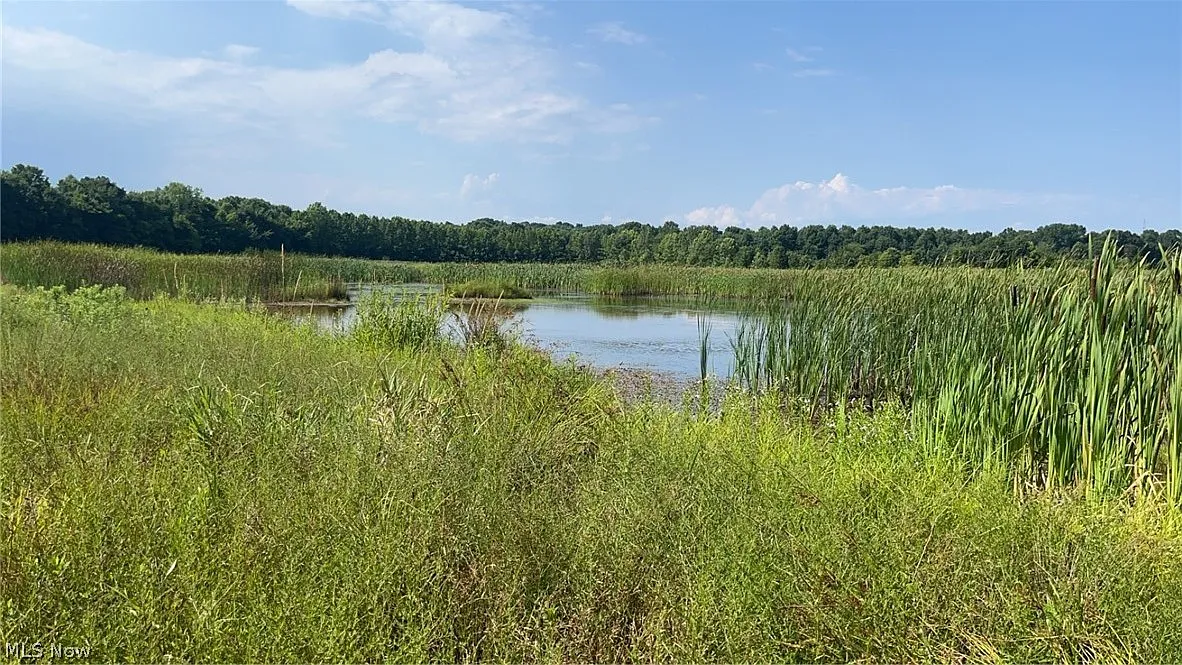 Flagdale photo 1