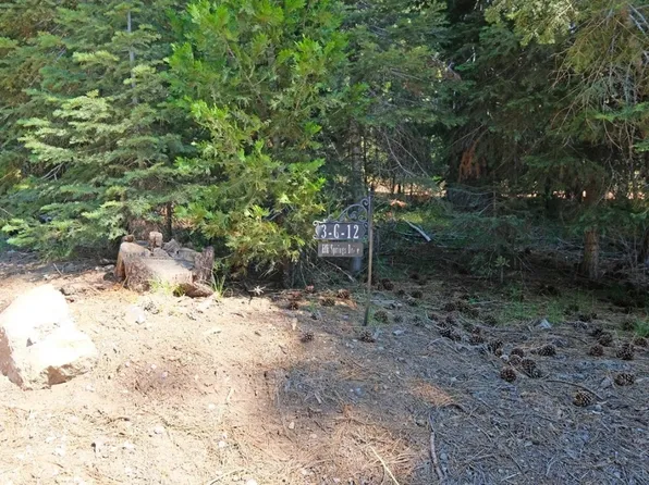 3 Twelve Elk Springs Dr Lot G, McCloud, CA 96057