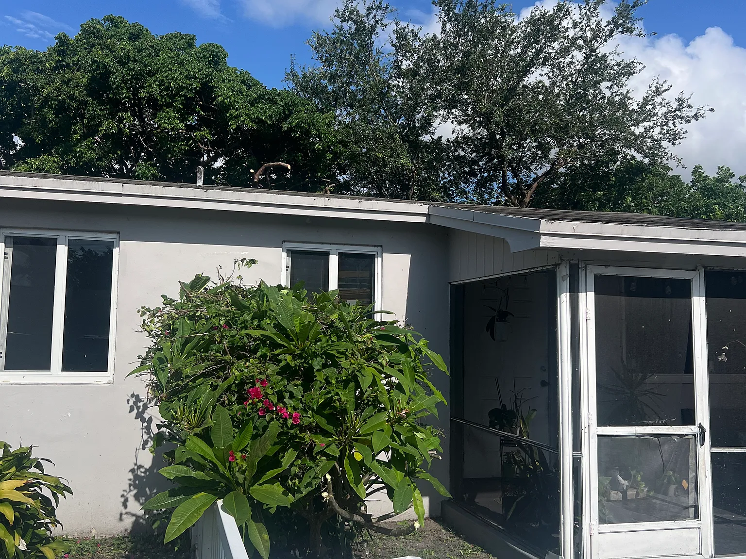 1 bed, 528 sqft, $1,490 — Photo 2