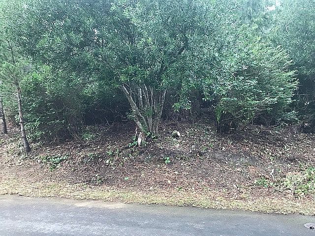 Street view.  Front of lot