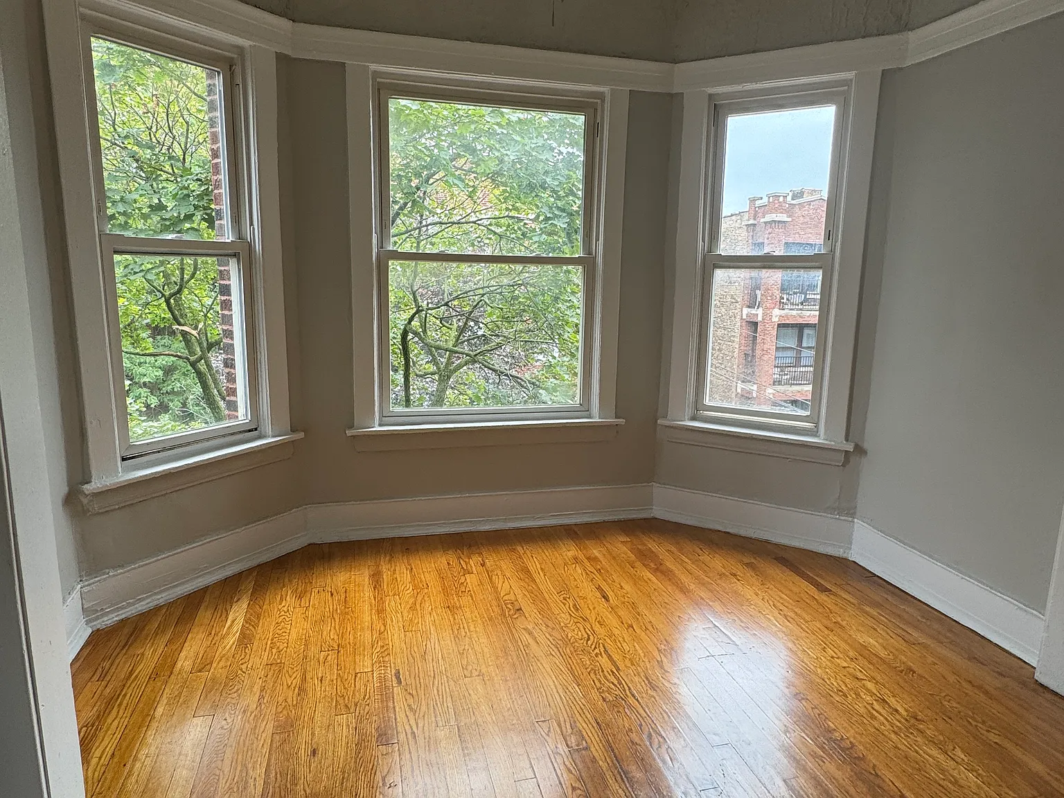 1 bed, 800 sqft, $1,400 — Photo 4
