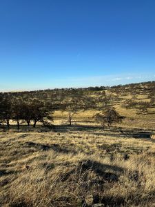 7510 Walsh Ln Parcel 1, Smartsville, CA, 95977