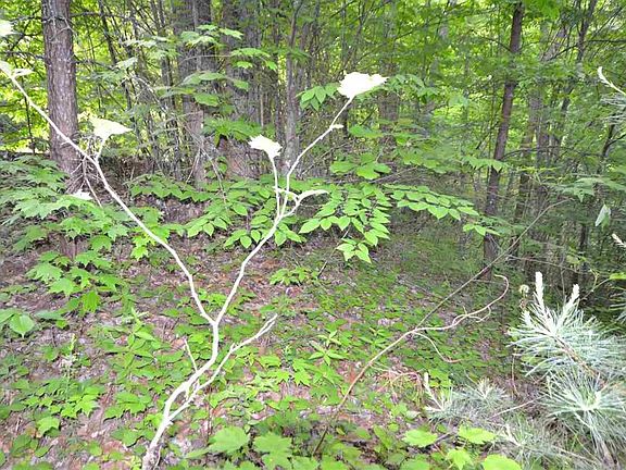 3rd image of 0 Riversong Way Lot 66