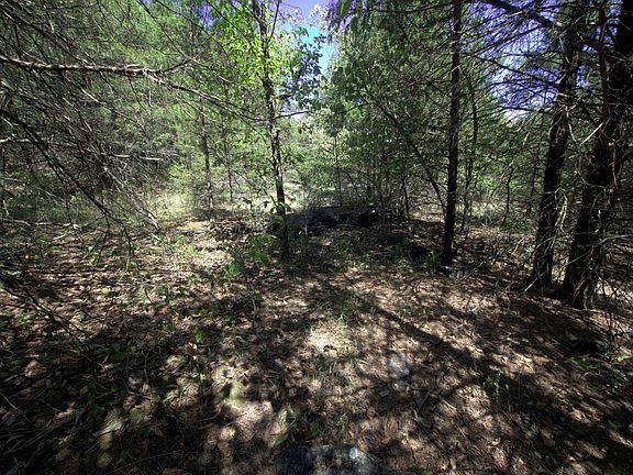 5th image of Tract 2 Simpson Rd