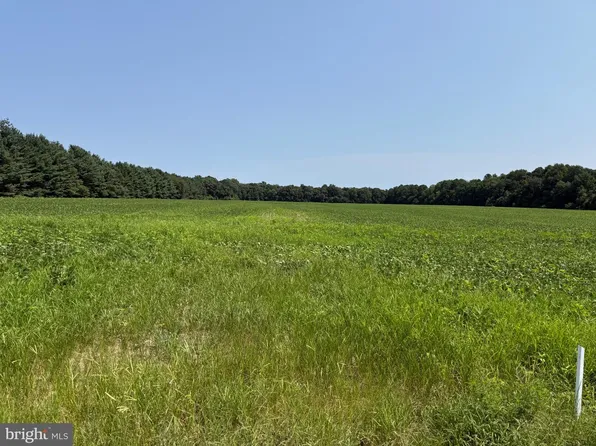 0 Harmony Rd, Preston, MD 21655