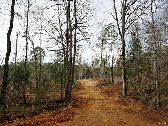 3rd image of 1303 County Road 176