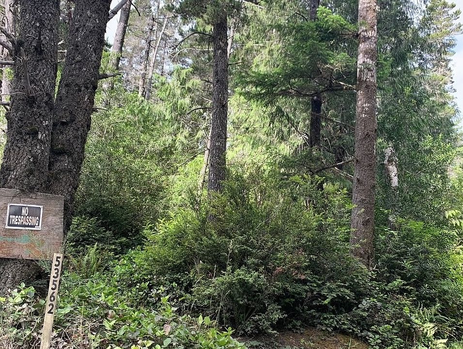 2nd image of Morrison Rd