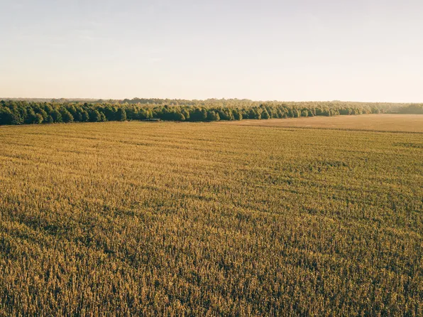 Cook Rd, Marks, MS 38646