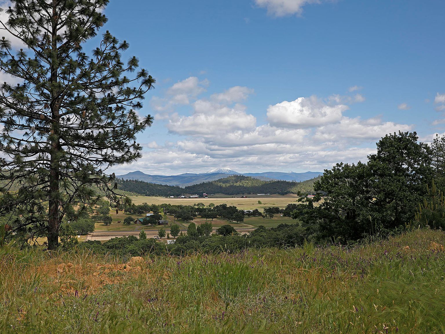 115 McDonalds Way, White City, OR 97503 Zillow