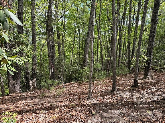 4th image of TBD Elk Ridge Road