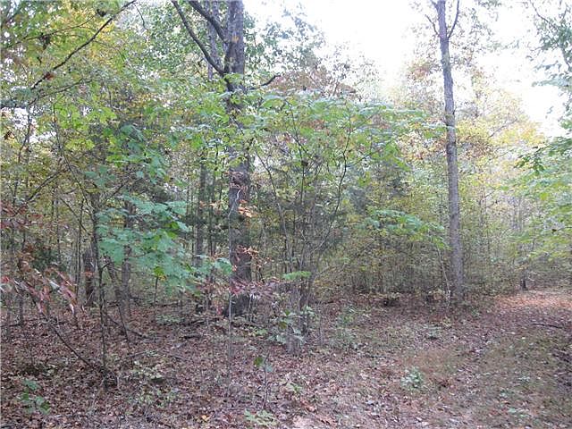 2nd image of 2 Ingham Ln