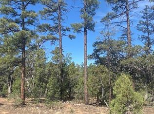 300 S Falling Leaf Rd, Show Low, AZ 85901