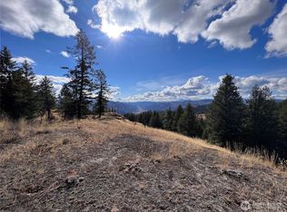 LOT 165 Stacy Rd, Republic, WA 99166