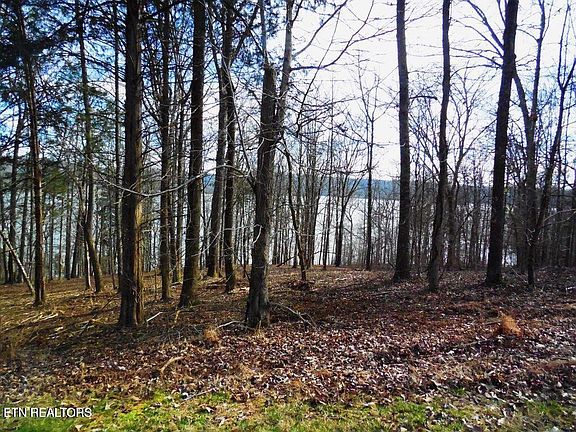 2nd image of 0 E Shore Dr Lot 117