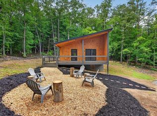 208 McClure Way, Blue Ridge, GA 30513