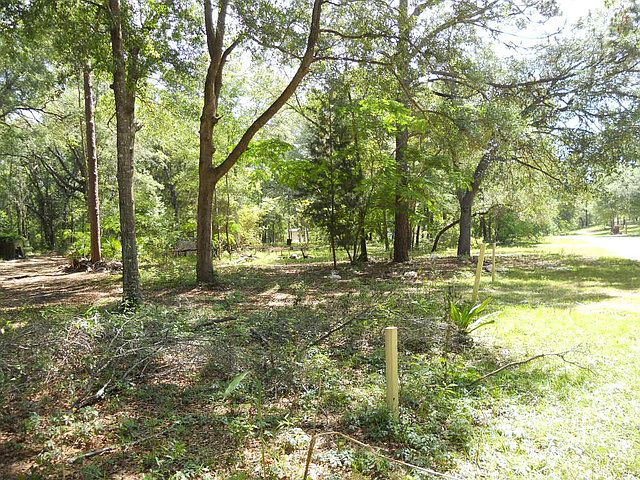 2nd image of 14191 NE 43rd Pl