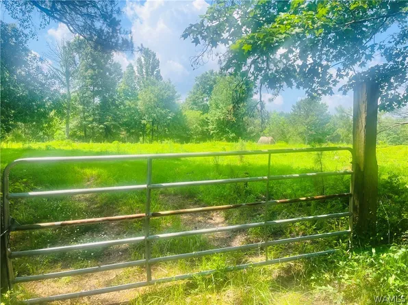 1950 Pine Grove Rd, York, AL 36925