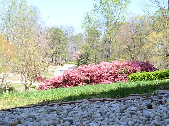 Front Yard in Spring
