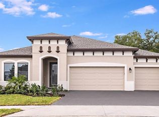 12813 Tortoise Shell Pl, Riverview, FL 33579
