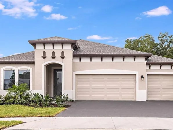 12813 Tortoise Shell Pl, Riverview, FL 33579