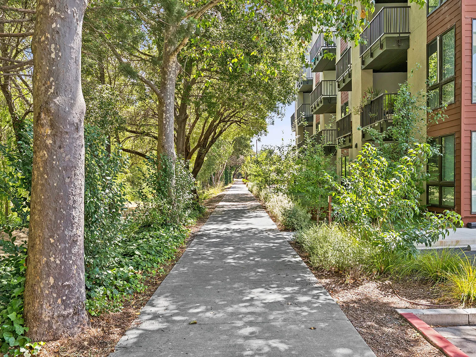 Bella Creek — Photo 1