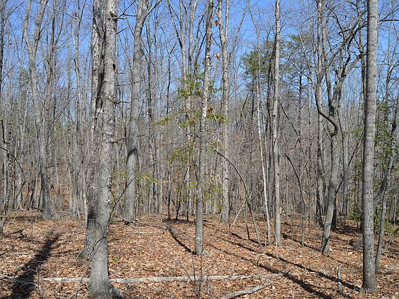 4th image of Tract 3 Wyatts Way