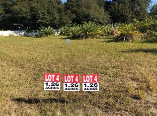 13417 Popago Estates Ln, Dover, FL 33527