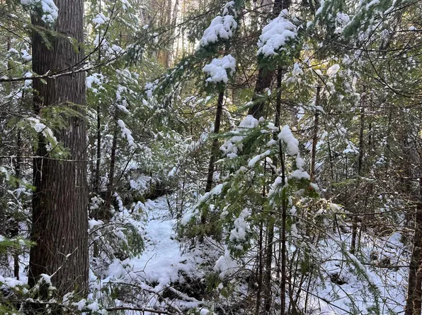 00 County Hill Road, Barnet, VT 05821