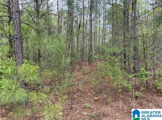 0 County Road 806 #0, Wedowee, AL 36278