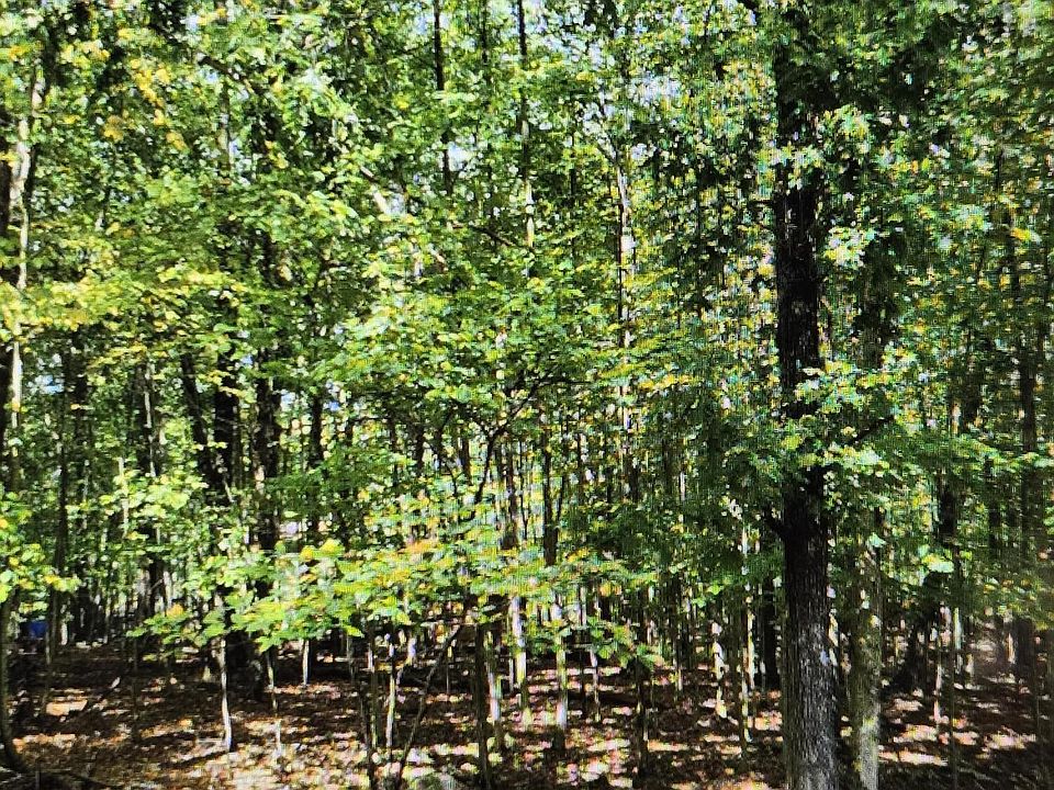 1st image of Gingerbread Ln #57