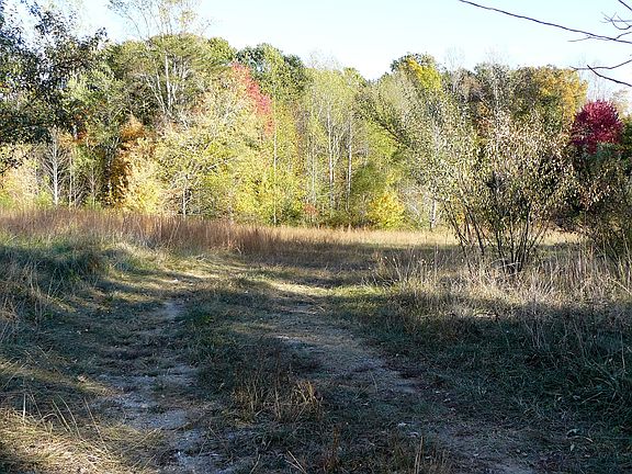 Old Road Bed