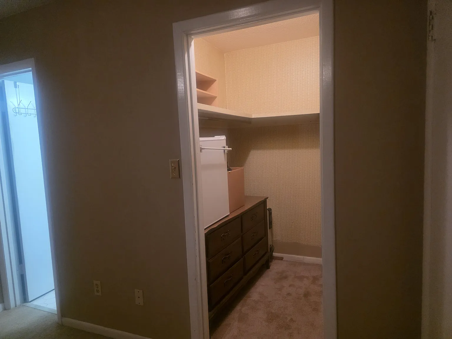 Studio, 210 sqft, $900 — Photo 4