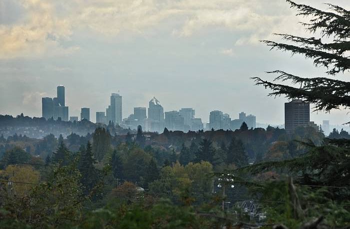 City View