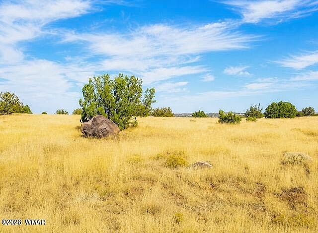 2nd image of 0 Arapaho Dr