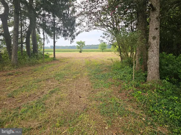 13096 Russell Rd, Bridgeville, DE 19933