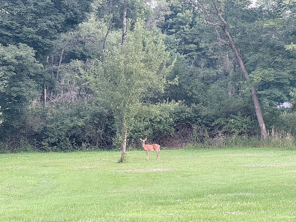 1st image of 0 Shade Tree Ln