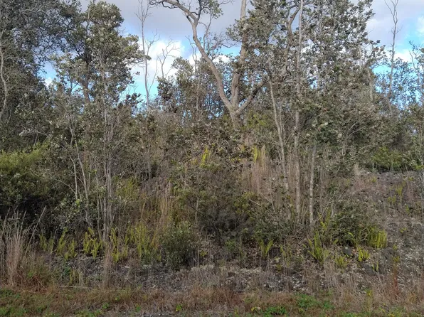 Tiki Ln Lot 25, Ocean View, HI 96737
