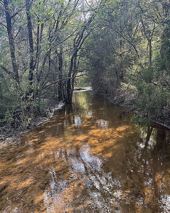 2nd image of 18 Big Red Way