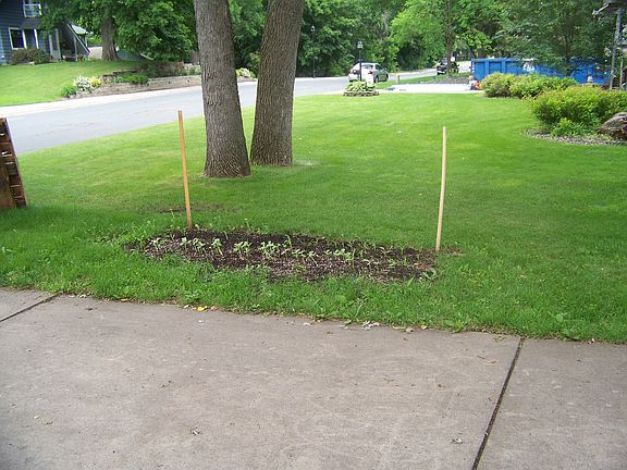 EAST  GARDEN AREA