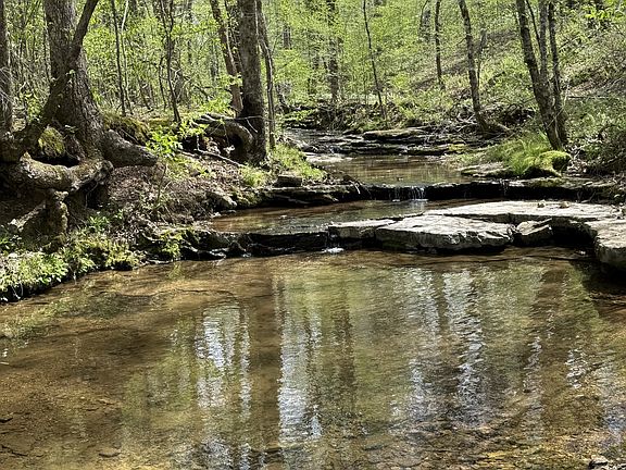 4th image of 562 Junus Jackson Hollow Rd