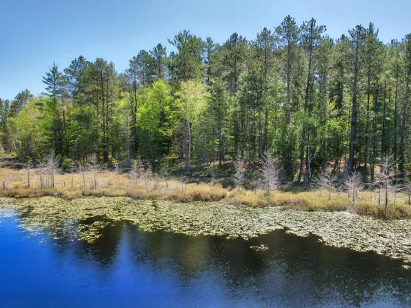 On Duck Lake Rd E, Watersmeet, MI 49969