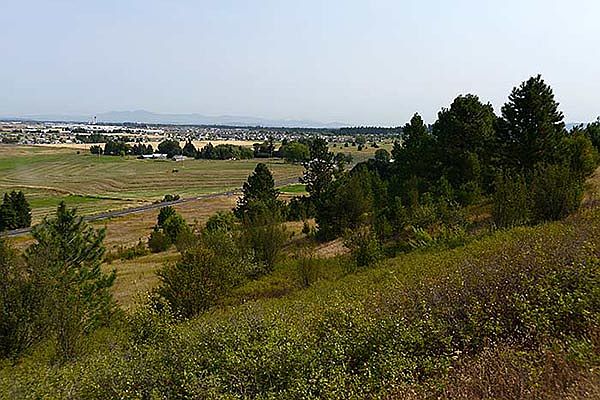 View to the North East