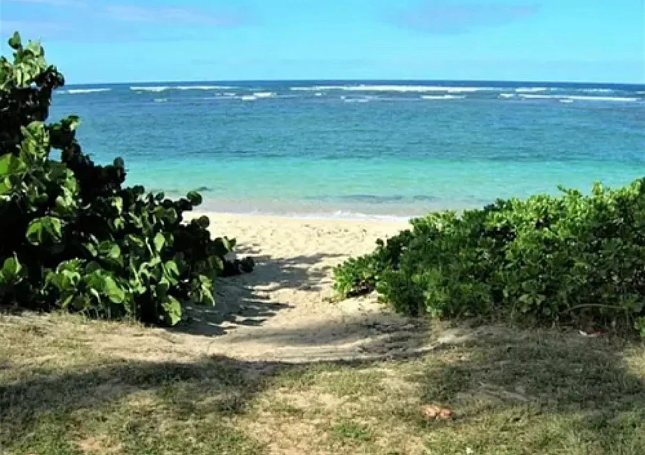 Akule St, Waialua — Photo 1