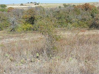 2nd image of 835 County Road 339