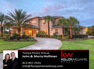 19720 Amazon Basin Bnd, Lutz, FL 33559