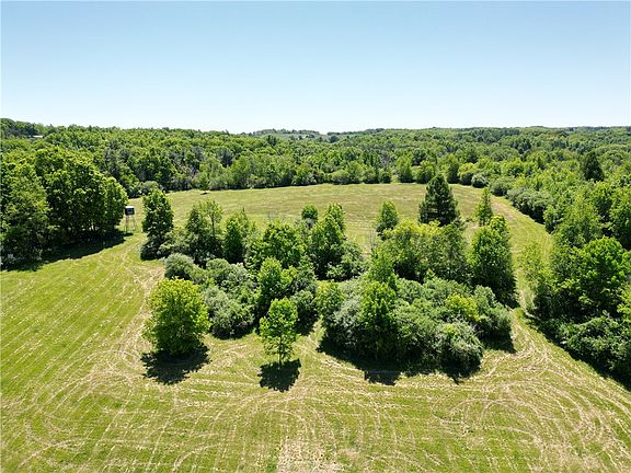 4th image of 5087 Hagerty Rd