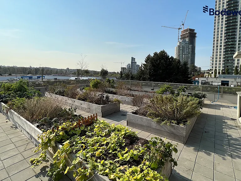 5311 Goring St #1703 — Photo 24